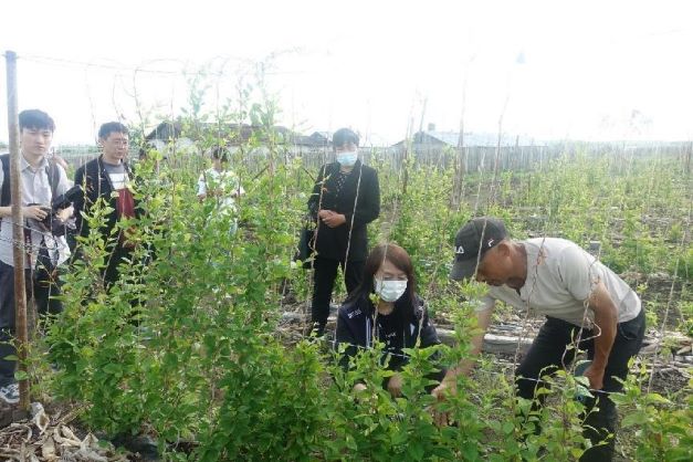 �ώ��W�Ӿ۽��r�I�lչ�����d�l�彛��