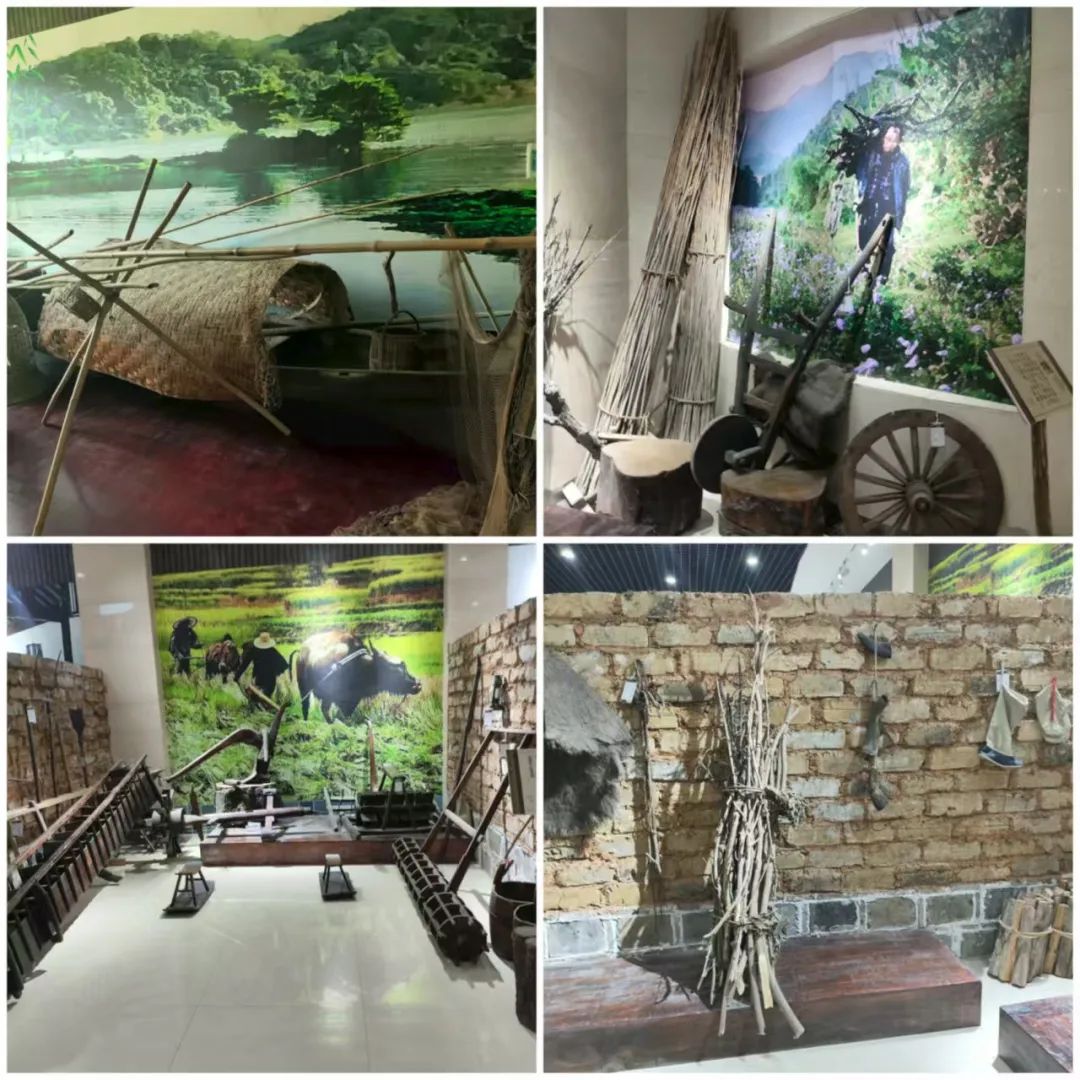 ��h�紨�WԺӋ��C�WԺ����������F�����^��¿h�Ļ��^����չ�d�o��