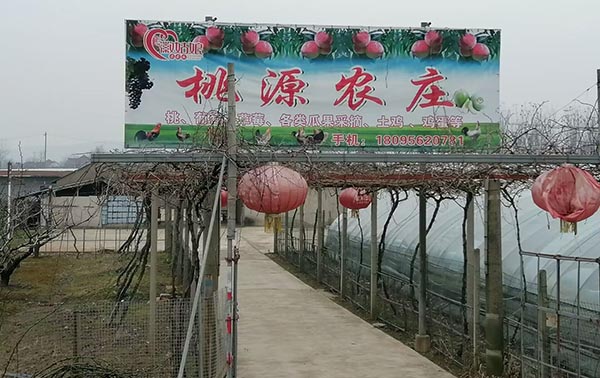 ��ؔ�W���x���l�����d�����Ƅ����e�r�I�lչ