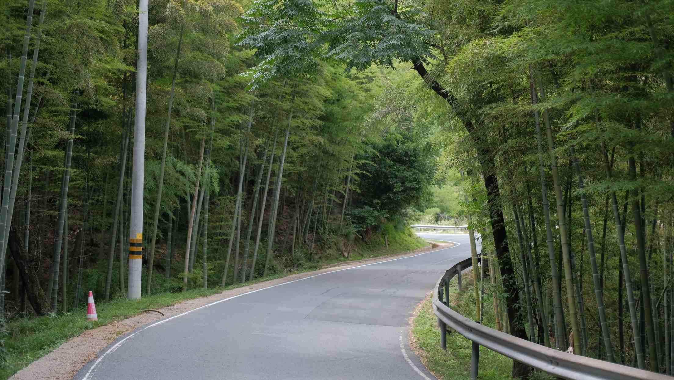 �����g����ζ�����Gɫ�Bֳ�����l�彛���v�w