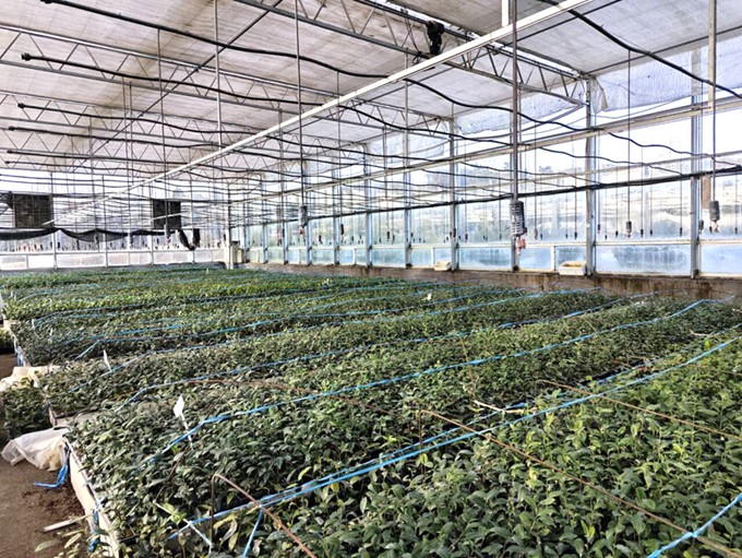 �Ƽ��x�裬�G���d�r