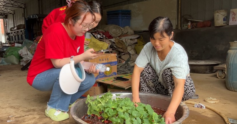 �����Z���x���������r�F�����G����ϻ��أ���֔���`�Nֲ���g