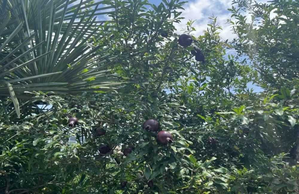  ���������µ���@�r�f