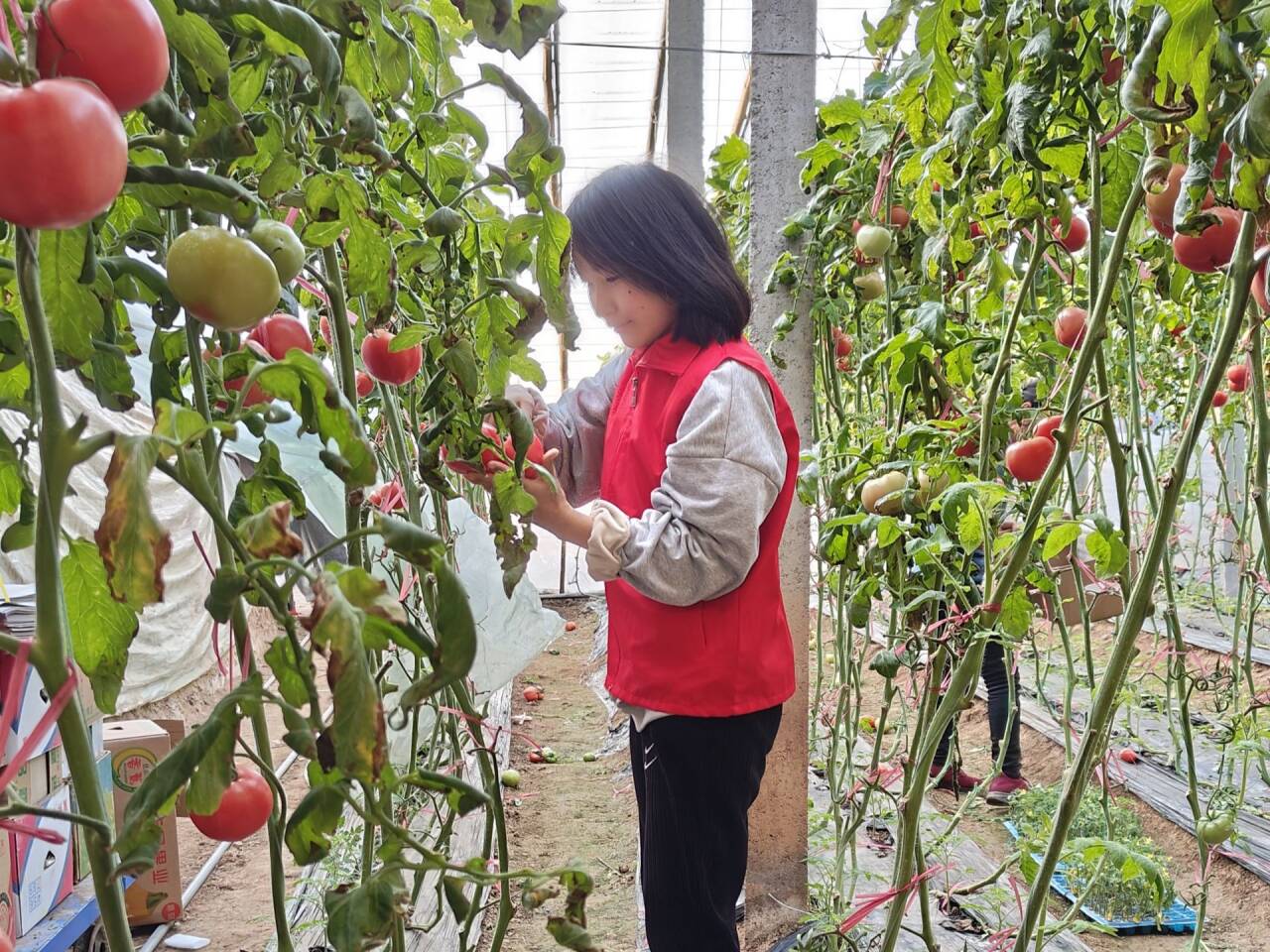 ů��G�⣬־Ը����