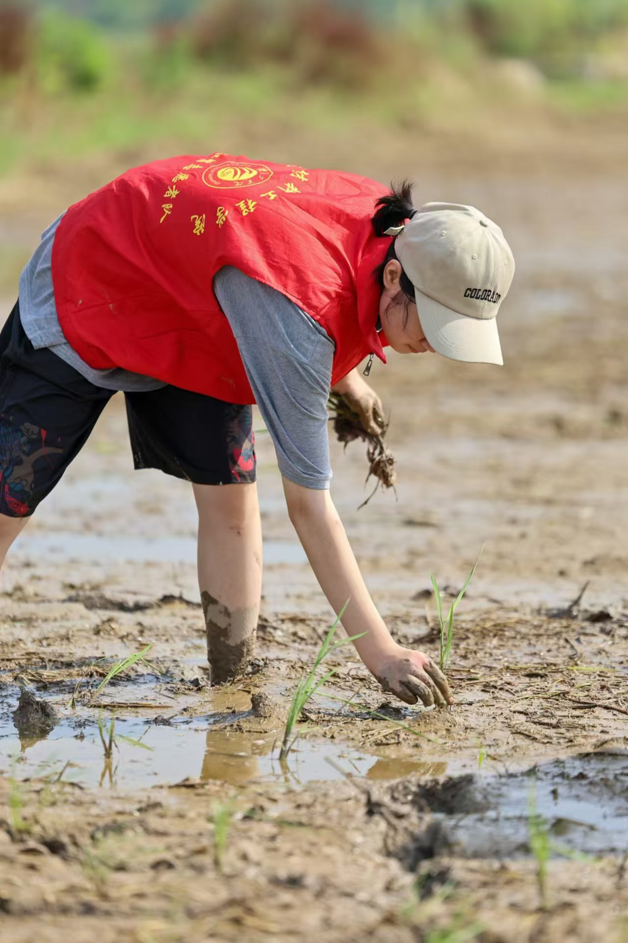 ��ꎹ��WԺ�����g���^�k���£��ഺ���������d