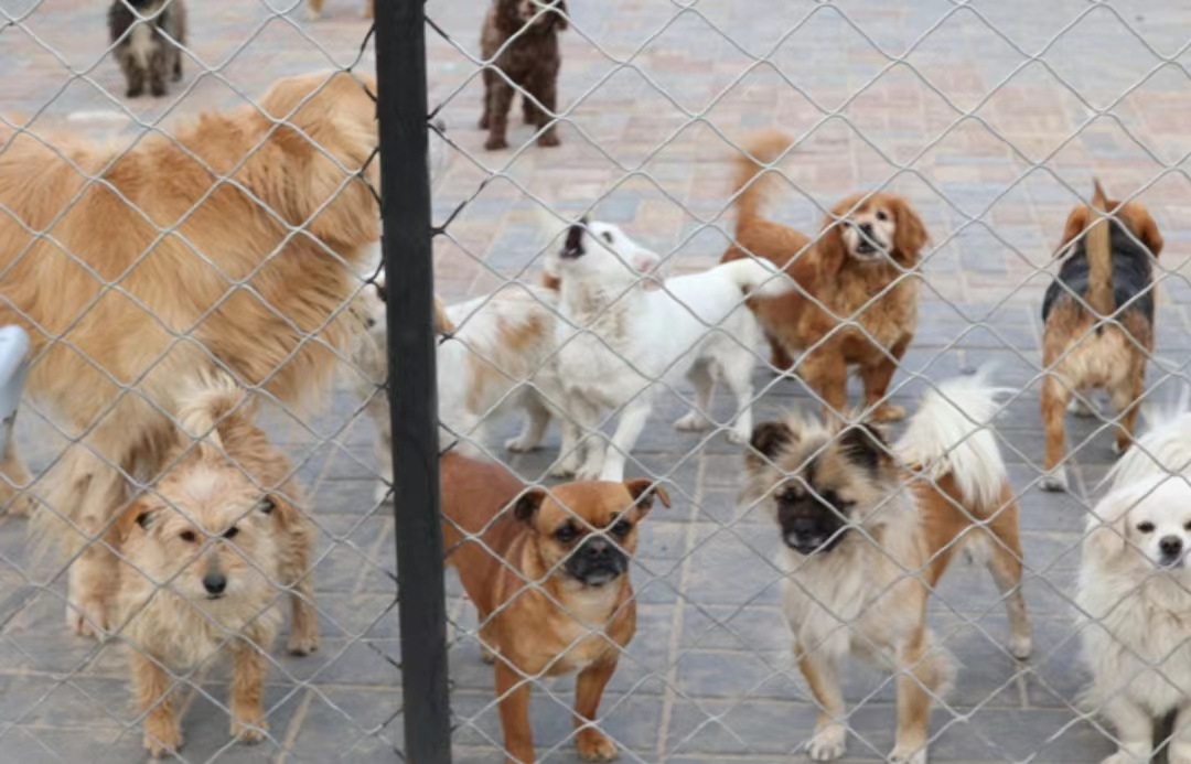 ������ɫ�ʣ�׌��(��i)�����ˡ�