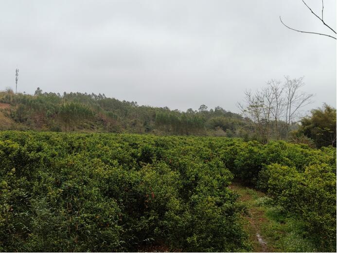 ��ɣ�����d����İ���¡����`�F������ʡ�������M�����L�{��