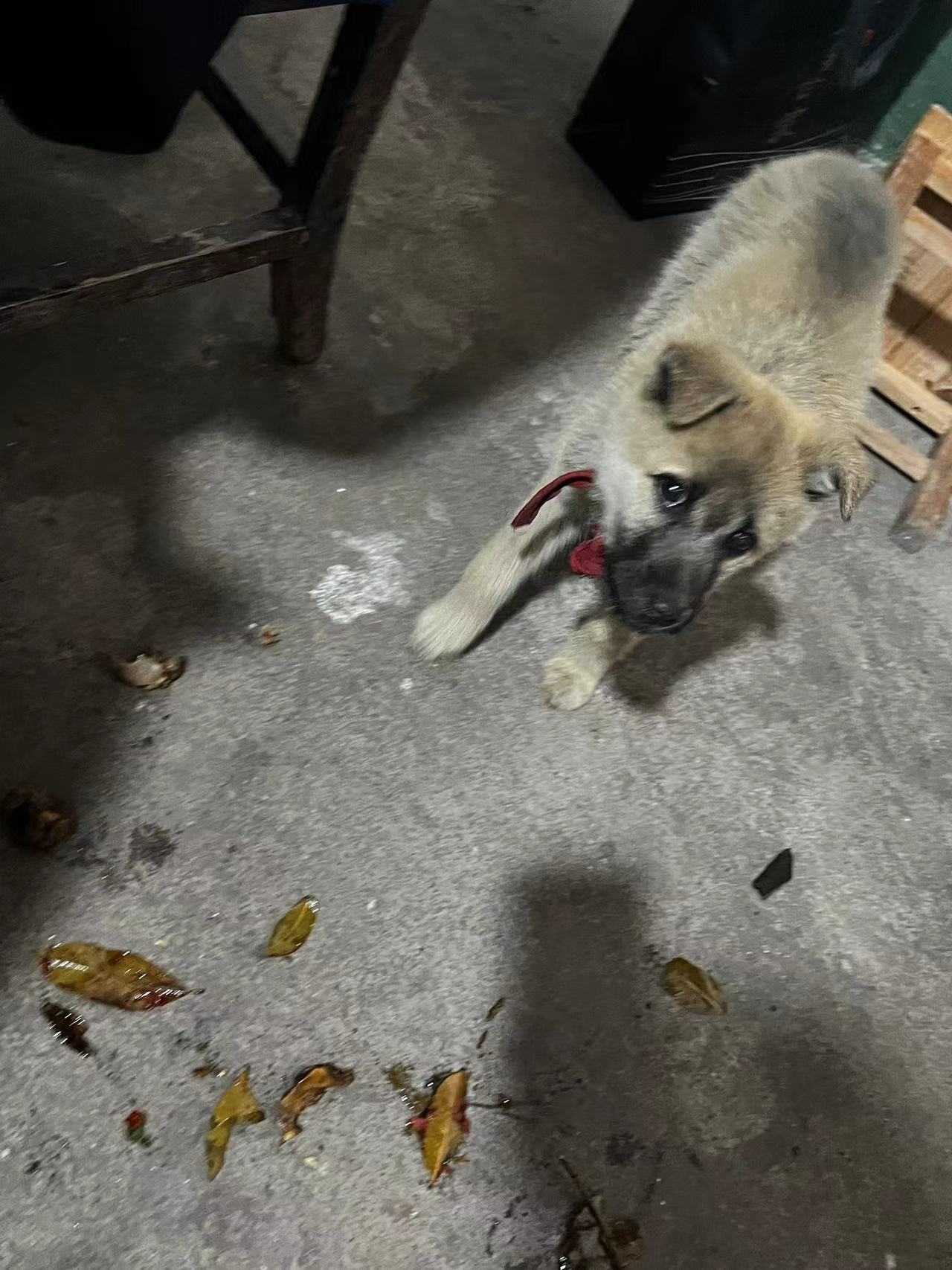 �P(gu��n)��(��i)���˄�(d��ng)���ů����