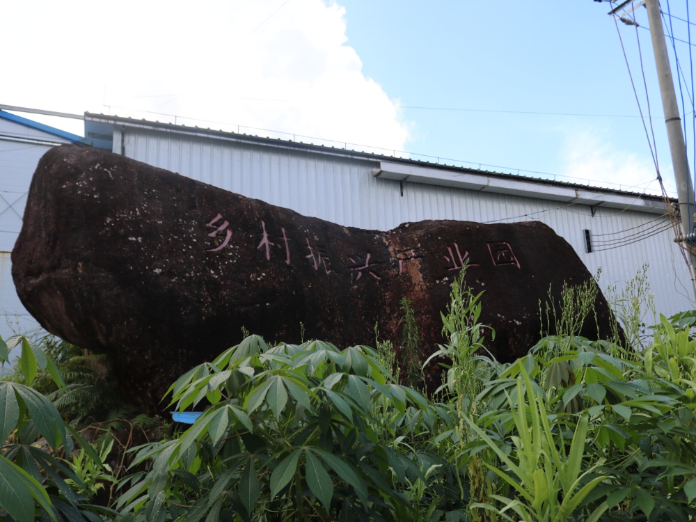 ���������(chu��ng)��·���a(ch��n)�I(y��)���dչ����