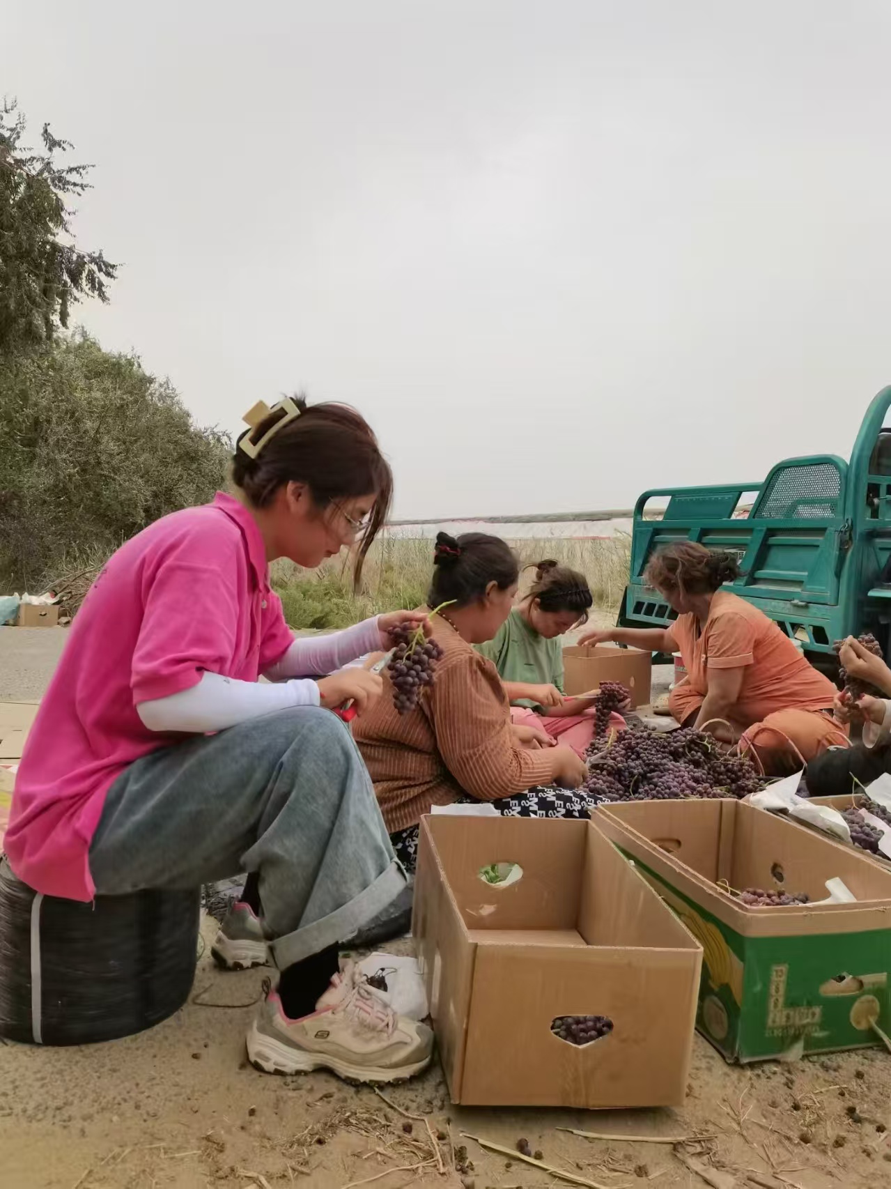 ����ͬ��ԣ���I���������D�����½��Ͻ��r����Ӌ ���g���ܴa����