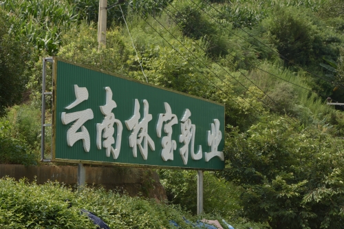 ��������Ҋ�S�꣬Ⱥ�����Ц�_�