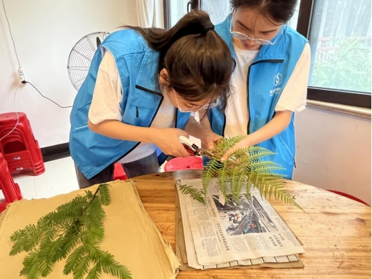 ���ώ�����W(xu��)�����ƌW(xu��)�W(xu��)Ժ����С�࣬ɭС�G��֮����t�I(l��ng)�����B(t��i)�G���`�{(di��o)�ЈF�_չ��ֲ���(bi��o)���������