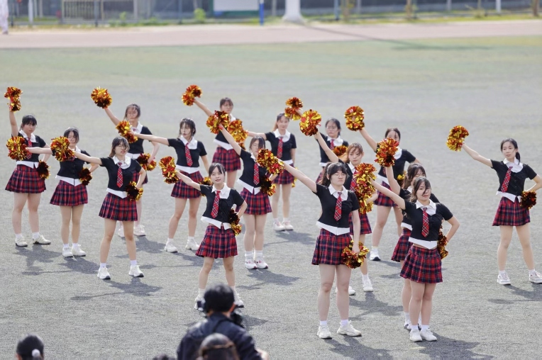 �D�������ٱ��ݣ�����z��