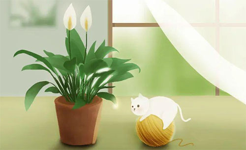 ƽ���o���һ�����l