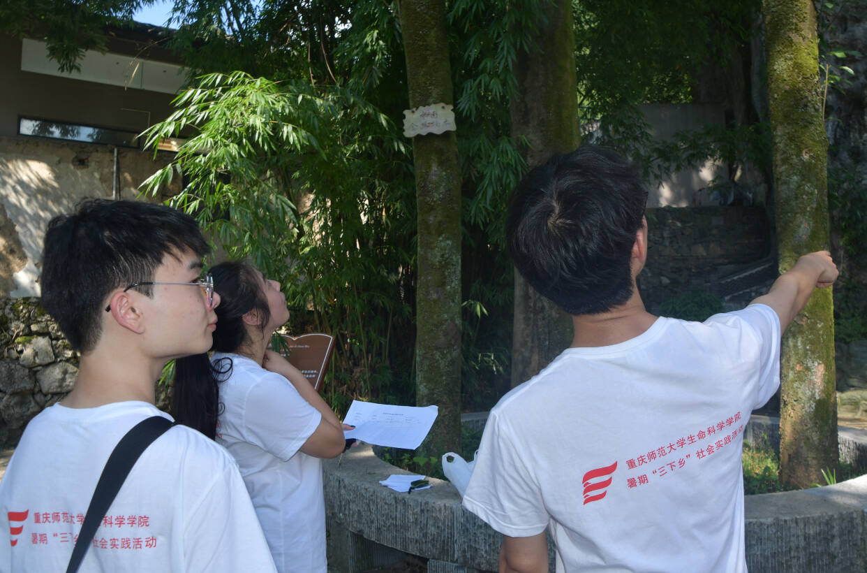 �Ř�ؚq�£��ഺ�o(h��)��݆�����؎��W(xu��)�Ӻμ�?gu��)r��Ř��{(di��o)����