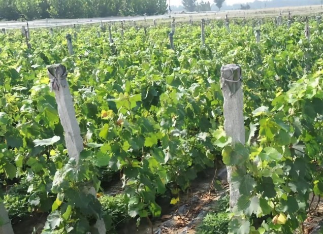 ������Ѯa�I��������䁾��l�����d�¸�·