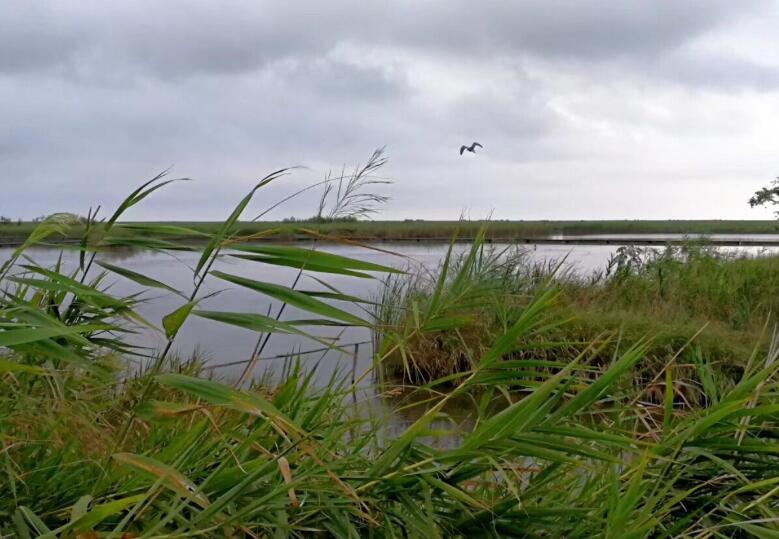 �P�}��֮�����������֮��