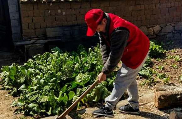 ֻҪ���ŗ����͕���(chu��ng)�����E