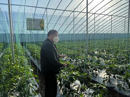 �۽��Gɫ���ظĸ� ጷ��r�I�lչ�t��