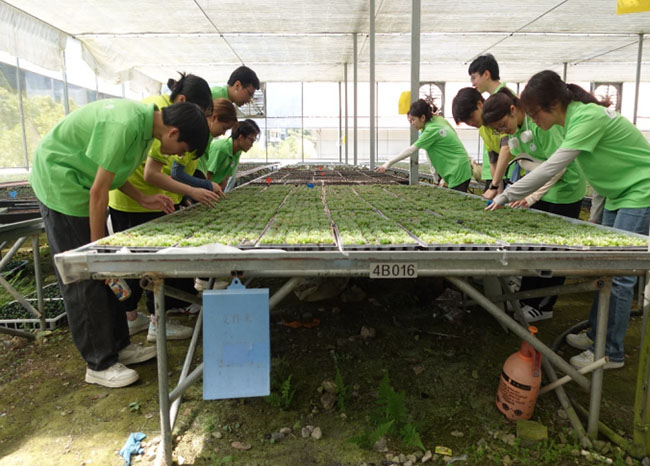 ɽ�����B���w����G�}�|���