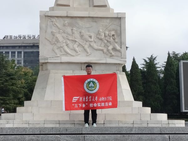 ɳ��ǰ ��ͩ�� ԣ�����������