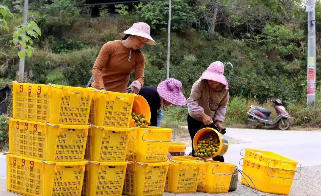 ͨ�����֌W�ӣ�����ӯʢ�أ�������r(n��ng)æ