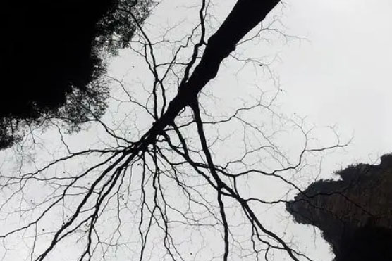 ���磬���Իص���ǰ