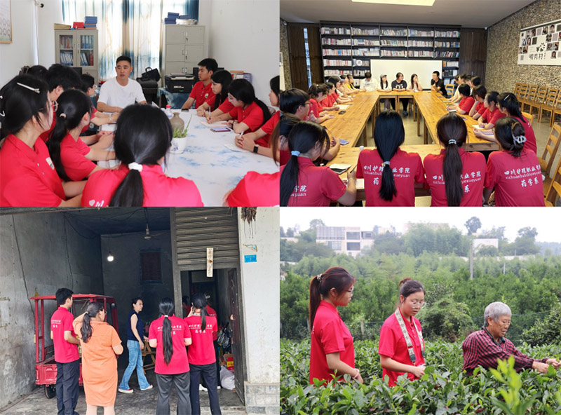 �����ഺ�x���l(xi��ng)�� �tɫн���������� ����ˎ�W(xu��)ϵ�����±����С����`꠸����´��_չ�������l(xi��ng)�����