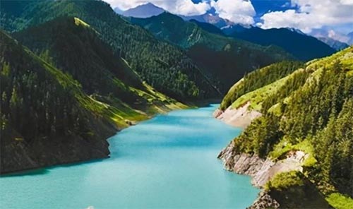 �²�����