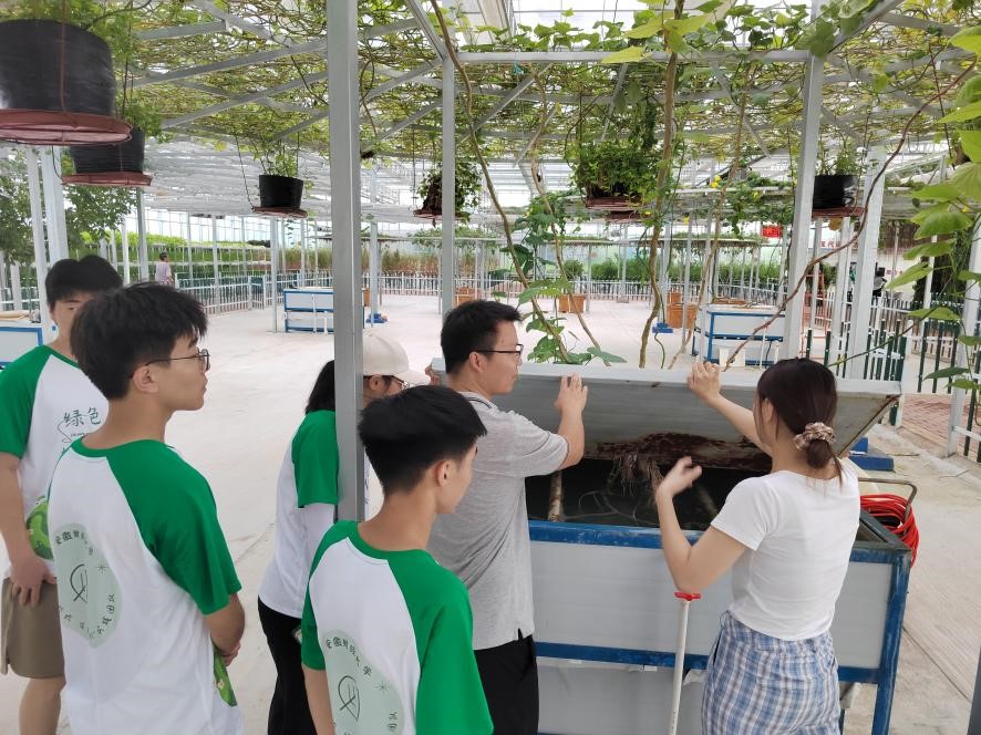 ̤�����r�I·�����Gɫ��̼��