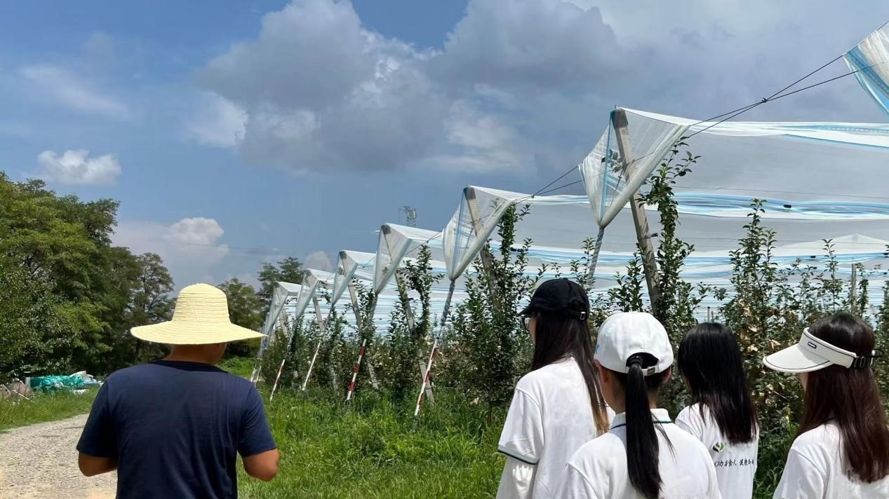 �����S���O��ʾ�������{�У��w�F���r�I�Ƽ������l�����d