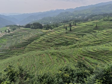 ����ǧ����Ʒ�ƣ��lչ���������