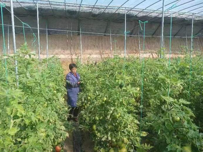 ��ɣ�����d����İ���¡����`�F��ɽ�|ʡ�������M�����L�{��