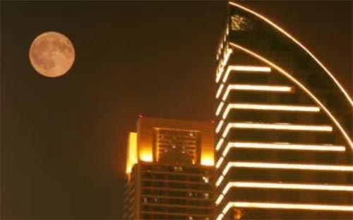 ǧ�����ﻨ��ҹ