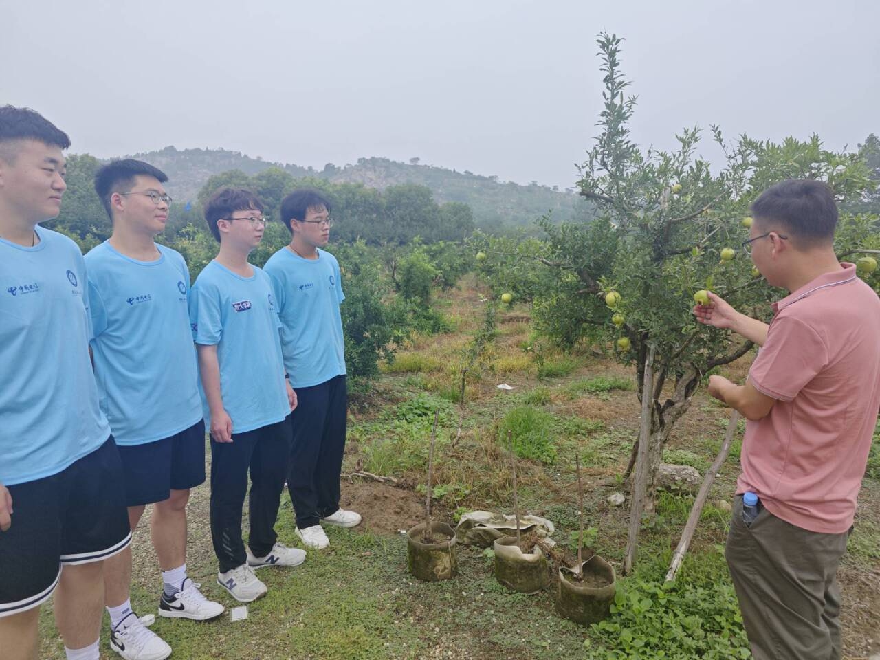 ��ؚ�����T����⮐�ʡ�����(sh��)��W(xu��)Ժ���(hu��)��(sh��)�`�F(tu��n)���M(j��n)ʯ��֮�l(xi��ng)����Ϳɽ