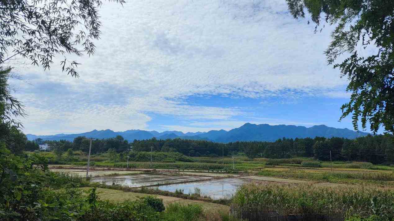 ��ꖿh��Ⱥ�壺ˇ��־Ը�������{�У����L��Ȼ�h�����o��ƪ��