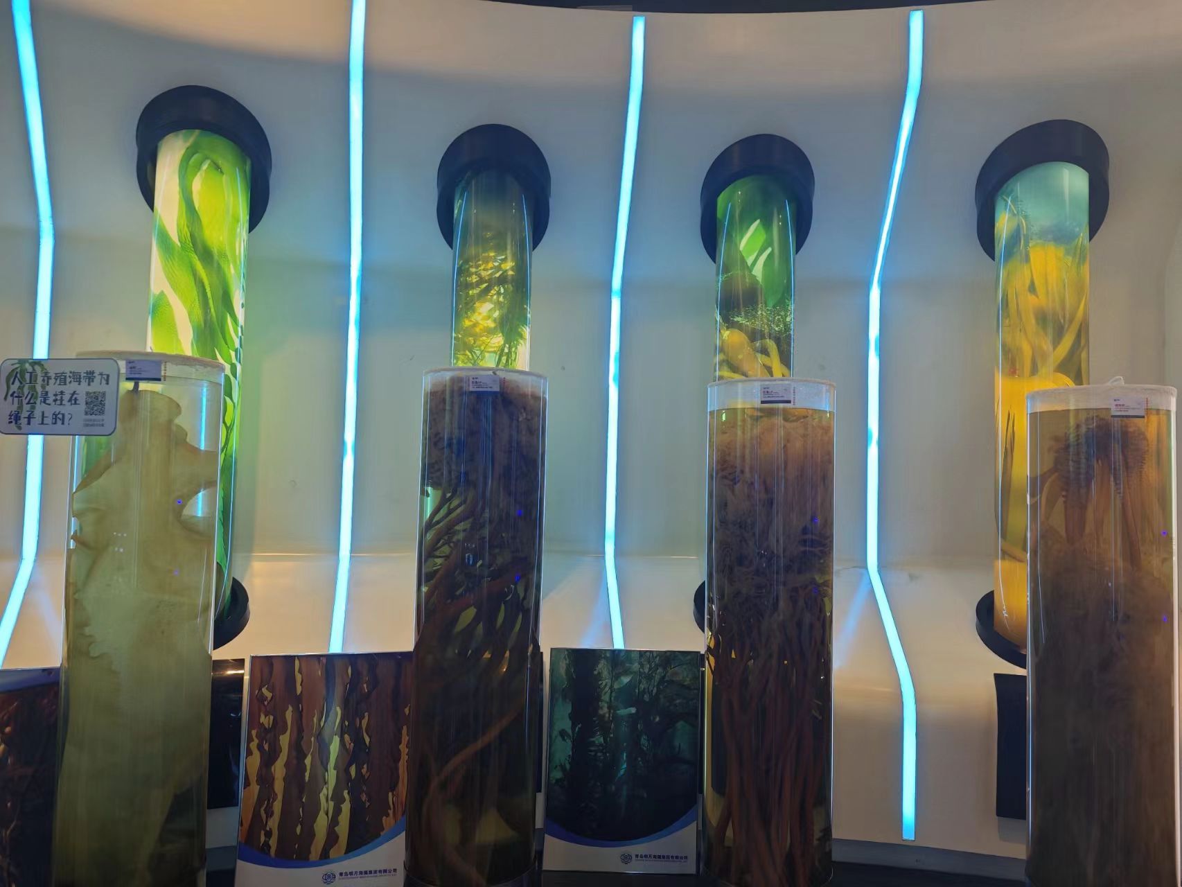 ��ʯ���{̼�^�����`ꠣ�̽���������B�rֵ�c�����rֵ