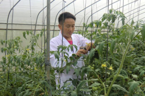 ��һ��������ؚ���s����ɽ