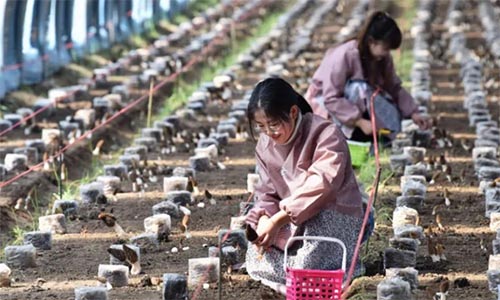 �����^��M����W����������һ��ֵ���ƏV�ćLԇ