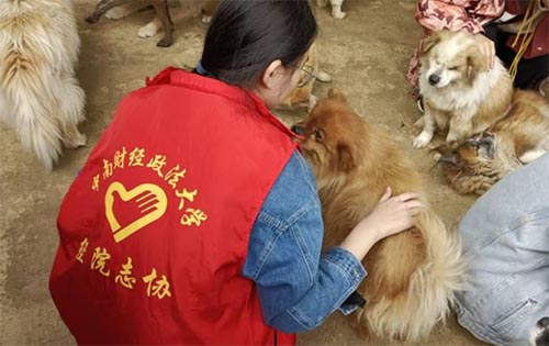 ���f��ů �`���P��