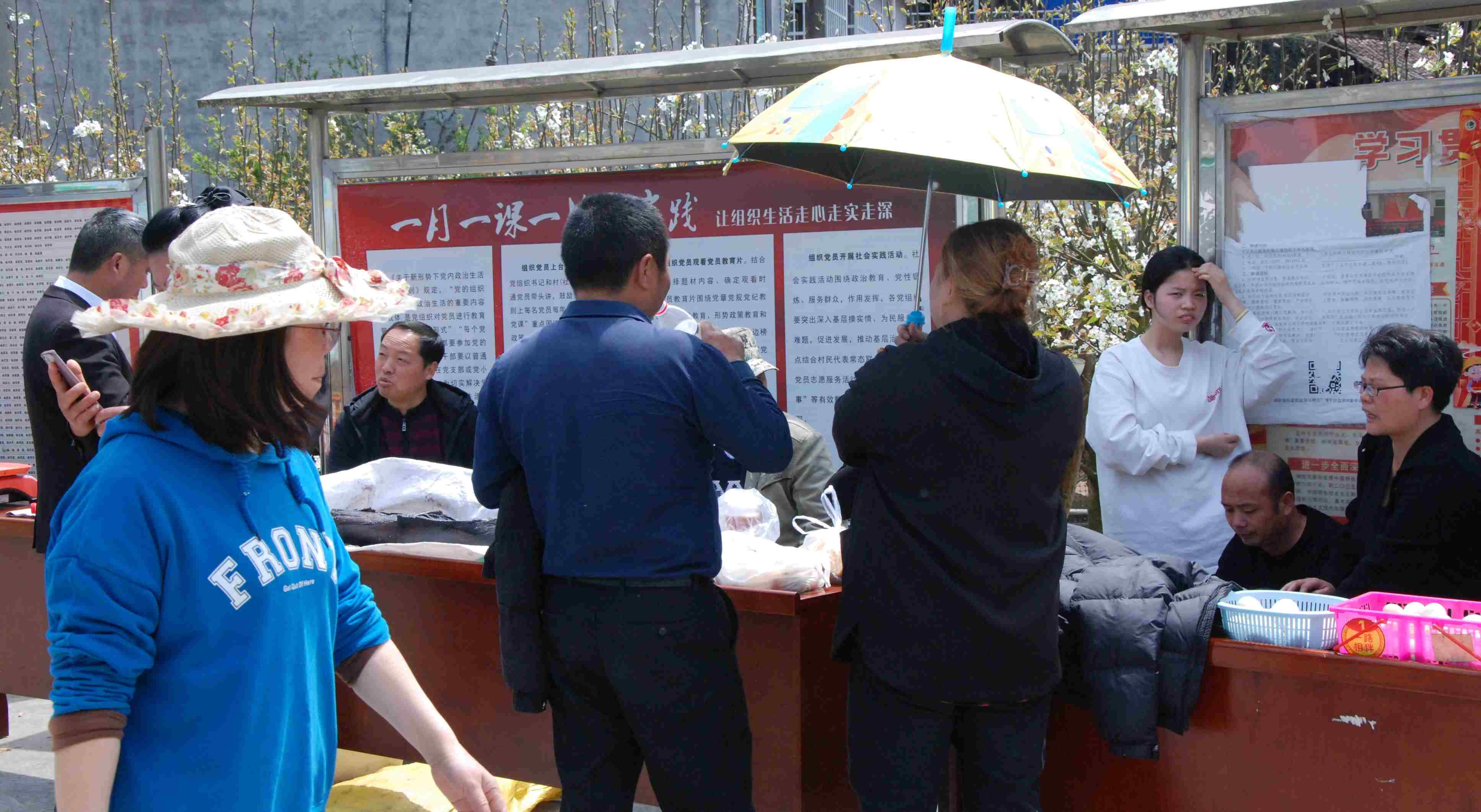 ��һ����ѩԊ�磬����ǧ�껨�g��