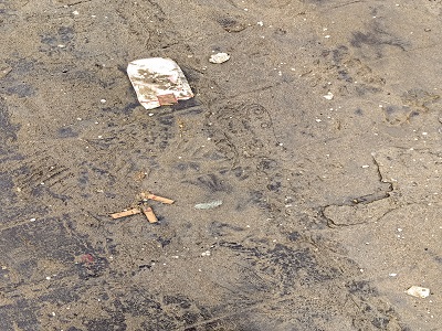 ���ܿƼ��o��Ȼ��I����������I�h������