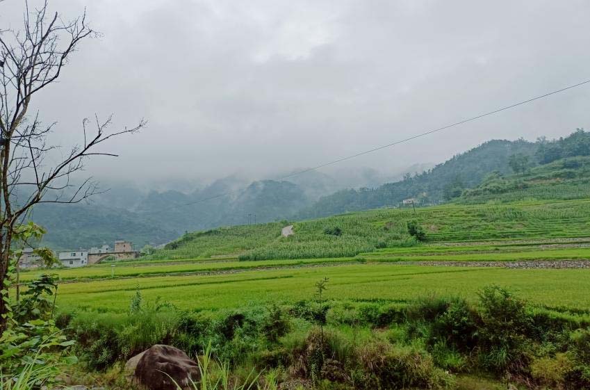 �L�����˼ң��L������