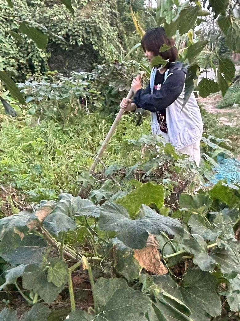 ���Ľ����ŉ����ڄ�(d��ng)��(chu��ng)���Є�(d��ng)