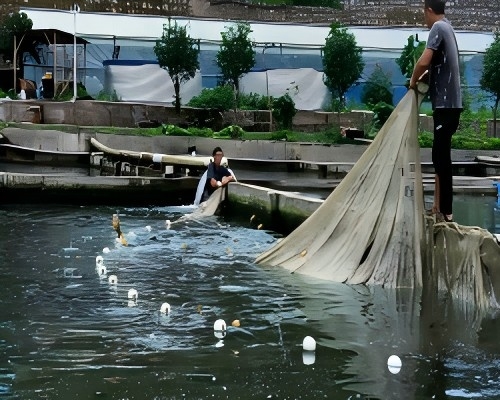 ���l���sʢ�ġ������`���ഺ ���������t�ƴ�W�w���WԺ����������`��c���l��ϣ��֮��