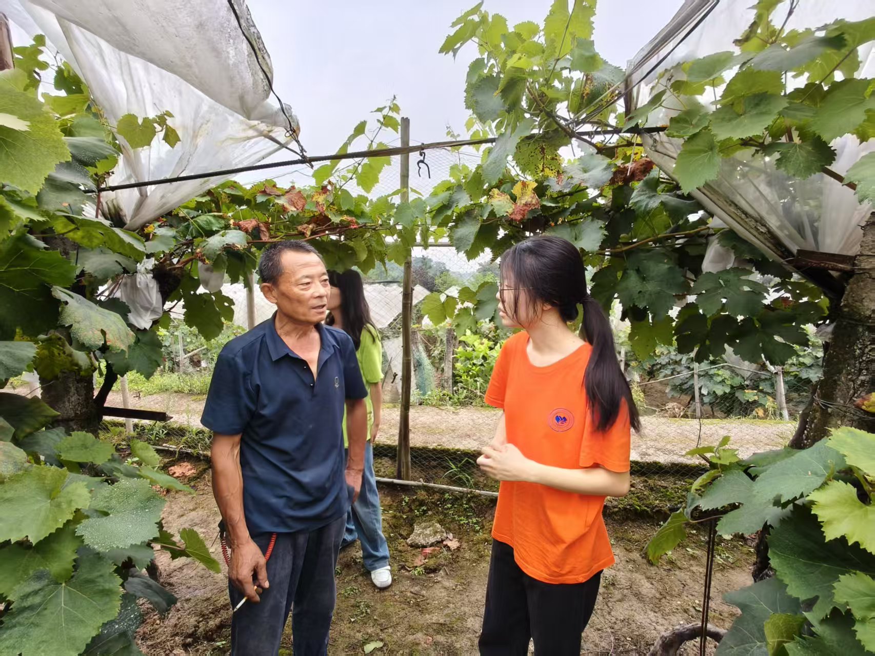 ���^�����[�������У����ш@��չ�ഺ����