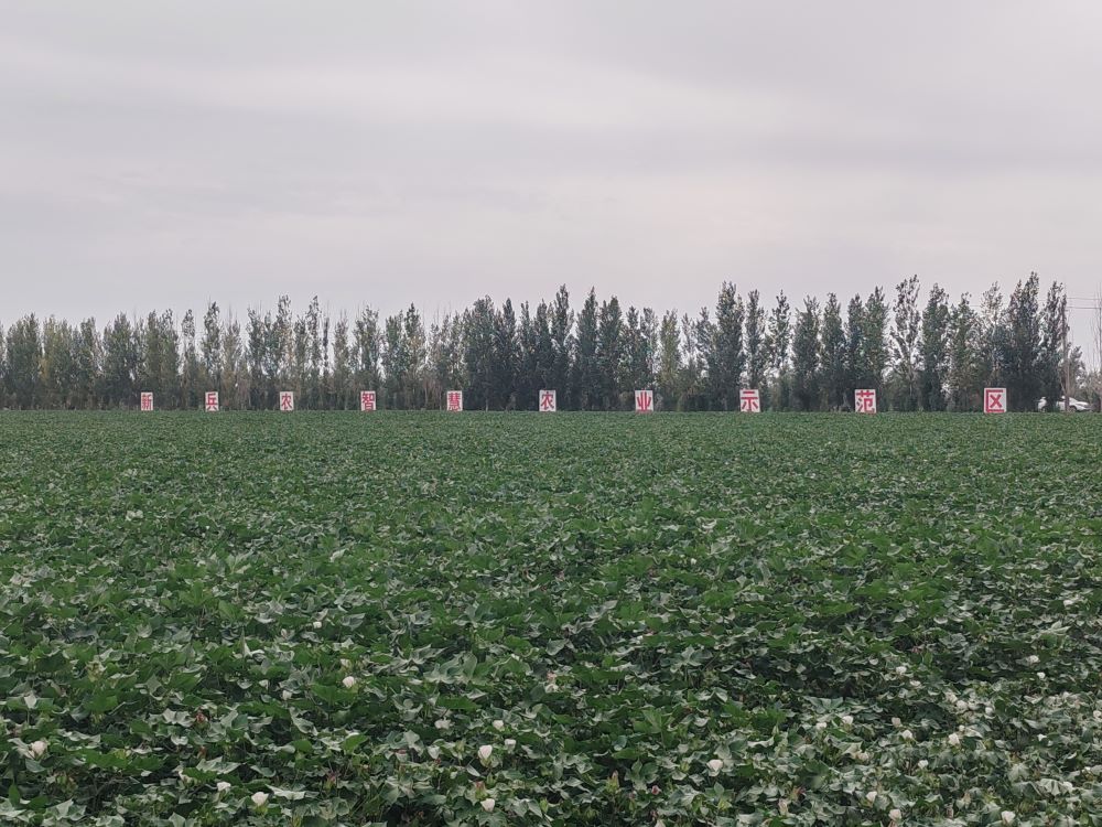 ɽ�|��W������)��ɣ���r�飬���B���С��{�ЈF���½����ߎ�128�F�_չ�{��