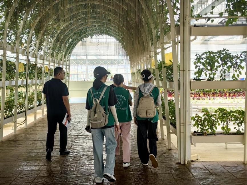 ̽·���l���̎�����ք����d�r�Q