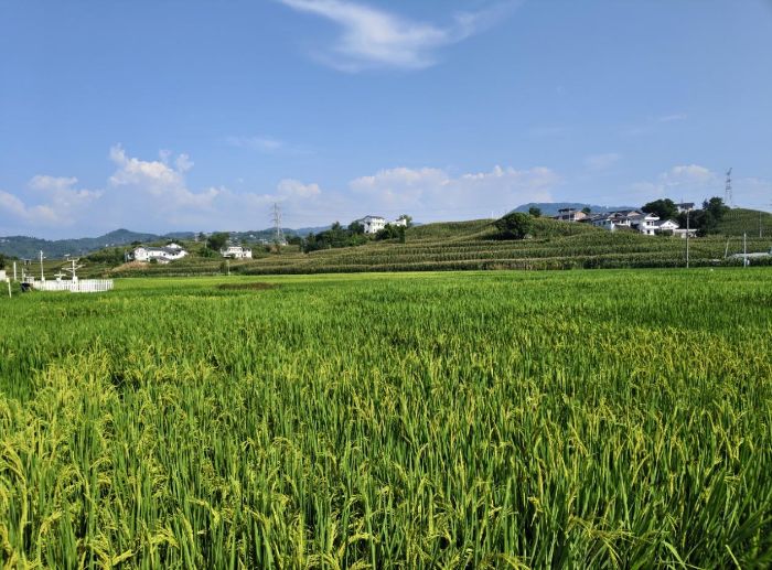 �ؑc���ĿƼ��WԺ�����̽�r�����`�F�{�ж��ɴ����ðlչ�������Ļ���������