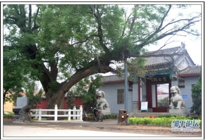 ���M���T���Ļ� ̽�L������